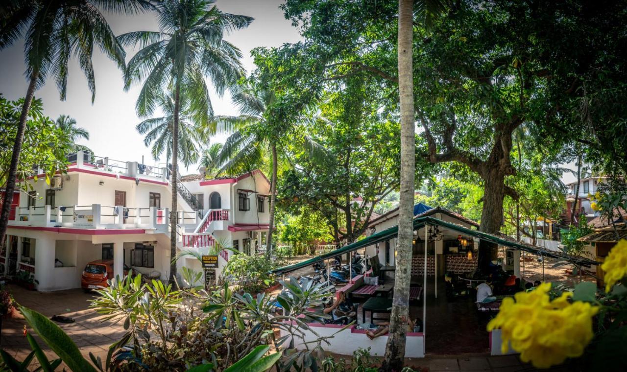 Backpacker Panda Goa Vandrehjem Calangute Eksteriør billede